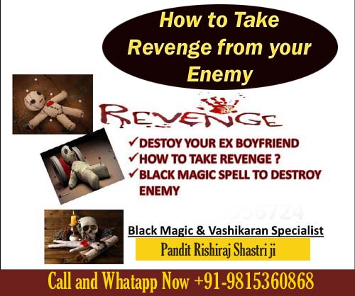 How to destroy enemy to take revenge from enemy? +91-9815360868